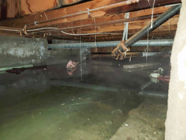  Raeford, NC Water damage restoration Pros