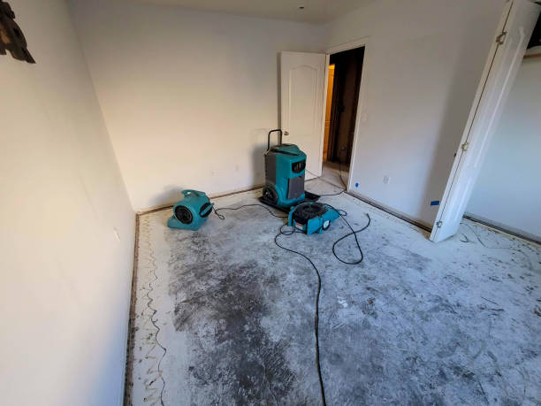 Best Ceiling water damage repair  in Raeford, NC