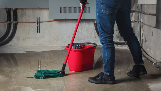 Best Water damage restoration near me  in Raeford, NC