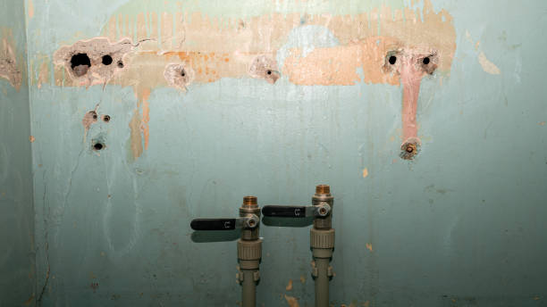 Best Water damage restoration near me  in Raeford, NC